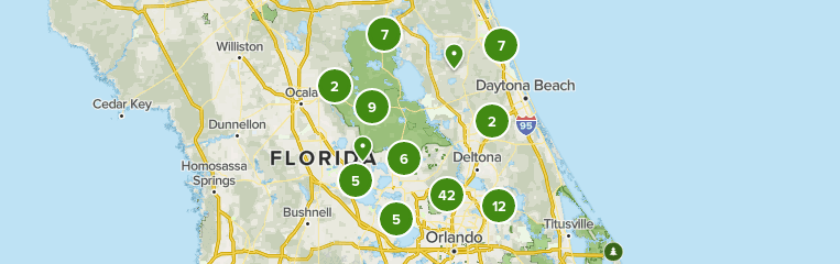 Best Bird Watching Trails in Ocala - Parks Us Florida Ocala National Forest Birding 10151500 20210923142432000000000 763x240 1