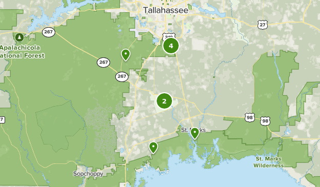 Best Mountain Biking Trails in Apalachicola National Forest | AllTrails