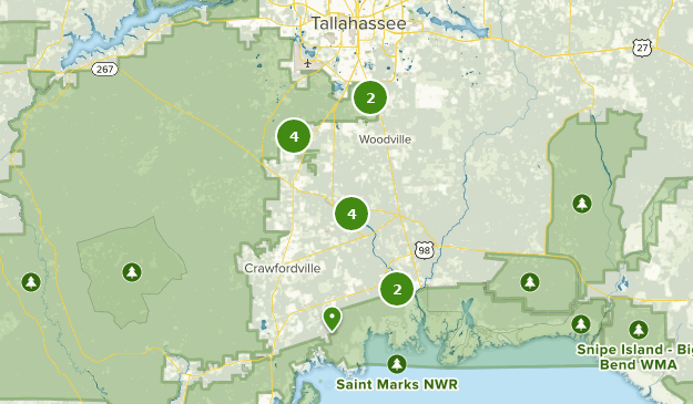 Best Running Trails in Apalachicola National Forest | AllTrails