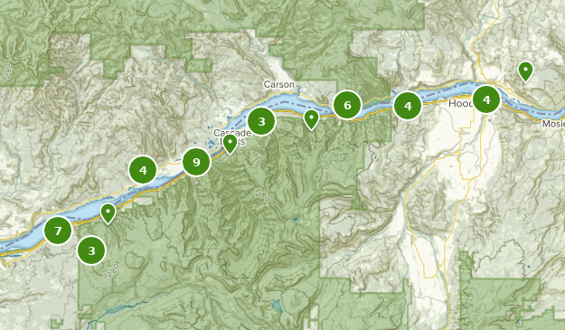 Best Running Trails in Columbia River Gorge National Scenic Area