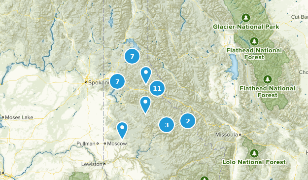 Best Forest Trails in Idaho Panhandle National Forest, Idaho  AllTrails
