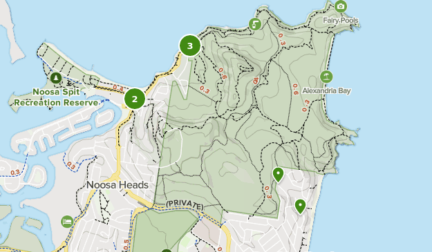 noosa national park map Best Beach Trails In Noosa National Park Alltrails