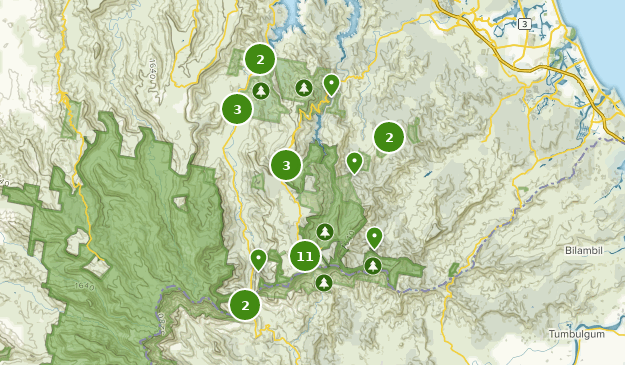 Best Walking Trails In Springbrook National Park Alltrails