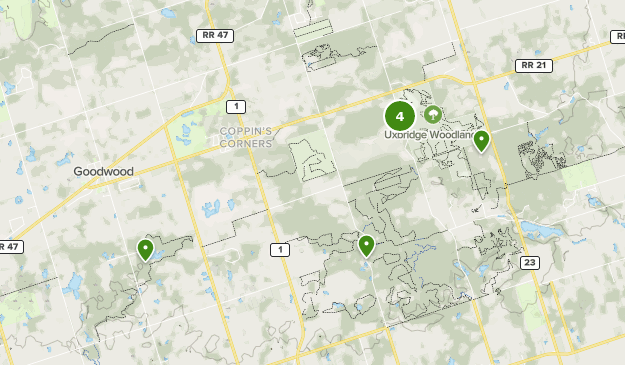 Best Walking Trails in Durham Regional Forest | AllTrails