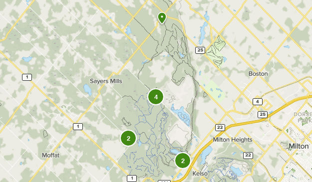 Best Mountain Biking Trails in Hilton Falls Conservation Area | AllTrails