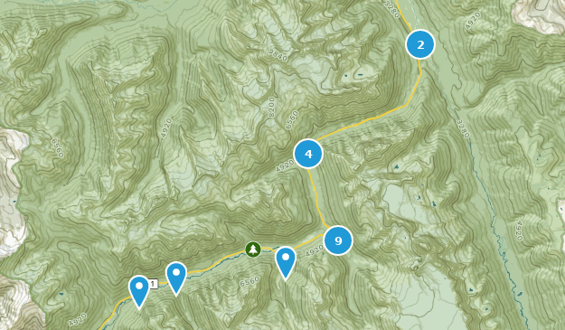 Best Hiking Trails in Glacier National Park of Canada | AllTrails