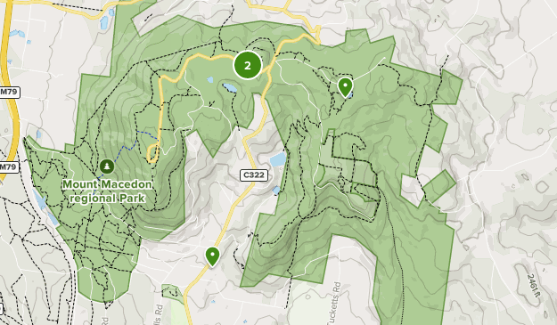 Best Forest Trails in Mount Macedon Regional Park | AllTrails