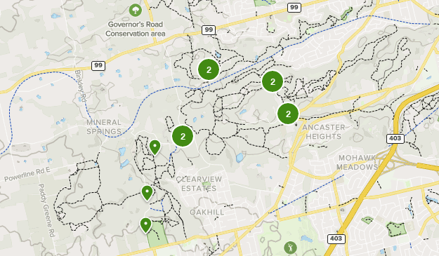 Best Dogs On Leash Trails in Dundas Valley Conservation Area | AllTrails