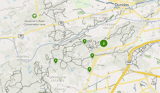 Best Waterfall Trails in Dundas Valley Conservation Area | AllTrails