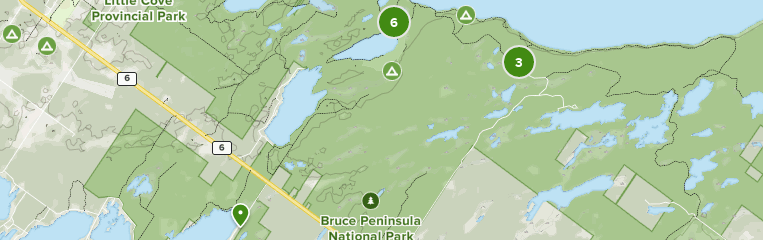 are dogs allowed in bruce peninsula national park