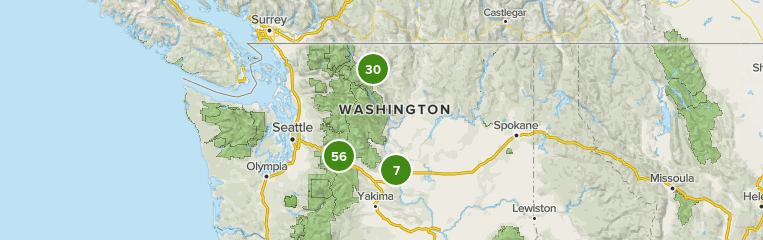 Okanogan Wenatchee National Forest Map Veqcszwpcwv40M