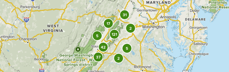 George Washington National Forest Lee District West Virginia Beste Route Zum Wildblumen Alltrails