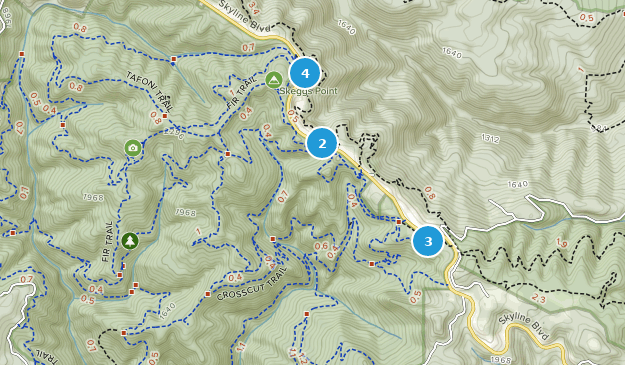 el corte de madera mountain biking