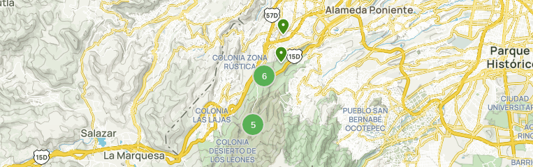 Las 10 mejores rutas para ver fauna en Parque Nacional Desierto de los  Leones en 2023 | AllTrails