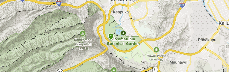 Best Camping Trails In Ho Omaluhia Park