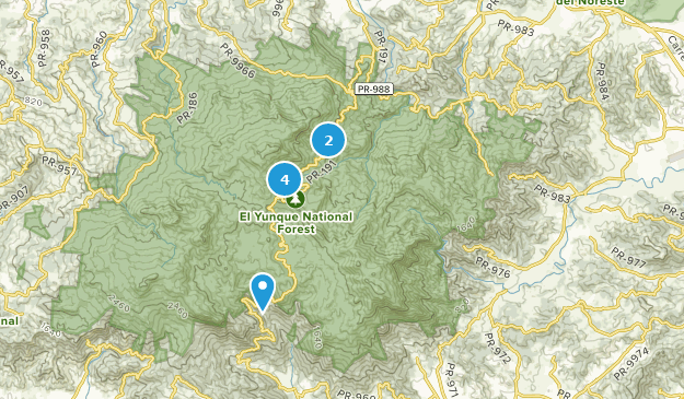 Best Hiking Trails in El Yunque - Parks Puerto Rico East Region El Yunque National Forest Hiking 10168354 20191127163506000000000 625x365 1 