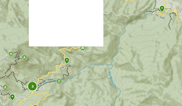 Best Kid Friendly Trails in El - Parks Puerto Rico East Region El Yunque National Forest Kids 10168354 20200205123236000000000 625x365 1 