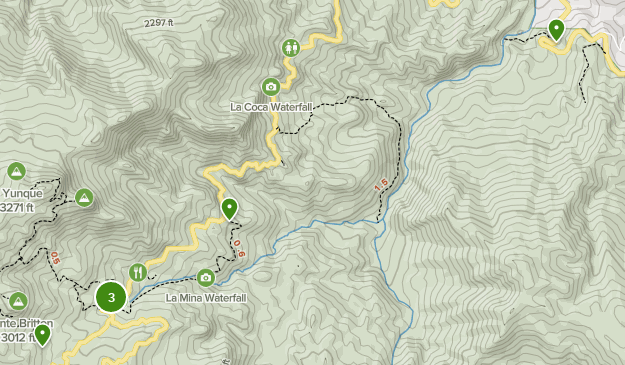 Best Kid Friendly Trails in El - Parks Puerto Rico East Region El Yunque National Forest Kids 10168354 20200727083802000000000 625x365 1 