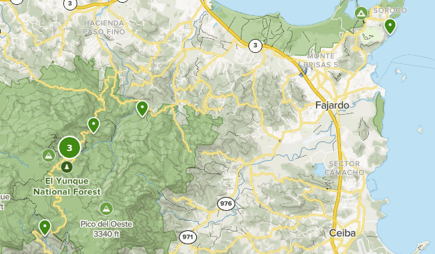 Las mejores rutas por r os en El - Parks Puerto Rico East Region El Yunque National Forest River 10168354 20200625092714000000000 625x365 1 