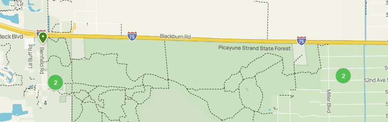 Strands State Rd Best Horseback Riding Trails in Picayune Strand State Forest | AllTrails