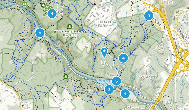 Best River Trails in Patapsco Valley State Park Avalon Area | AllTrails