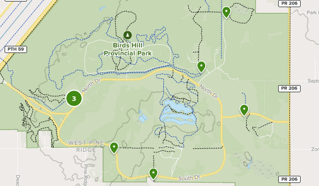 birds hill park map Best Kid Friendly Trails In Birds Hill Provincial Park Alltrails birds hill park map