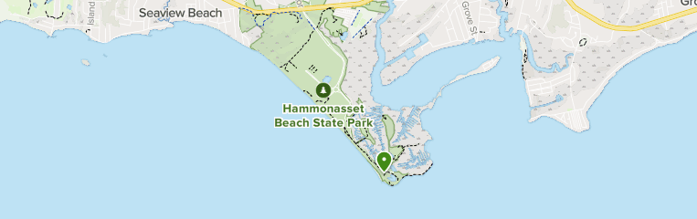 Best Bird Watching Trails in Hammonasset Beach State Park | AllTrails