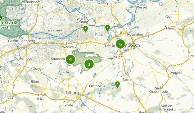 Best Walking Trails in Loonse en Drunense Duinen National Park | AllTrails