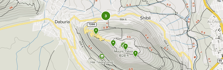 Best Forest Trails In Mount Tabor National Park AllTrails   Parks Israel Golan Heights Mount Tabor National Park Forest 10191297 20220314081327000000 763x240 1 