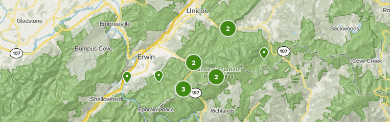 Best Forest Trails in Unaka Mountain Wilderness: Map, Details | AllTrails