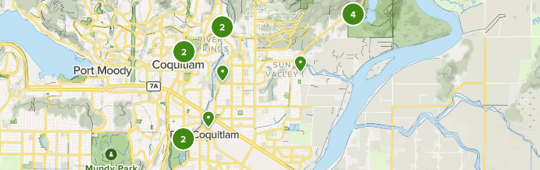 Best Forest Trails in Port Coquitlam