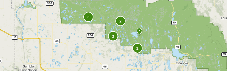 2023 Best 10 Forest Trails in Rossburn | AllTrails