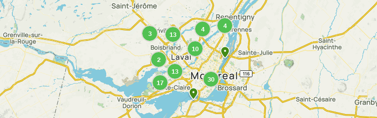 montreal es una ciudad que admite perros