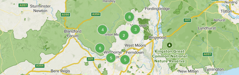 10 Best Walking Trails in Wimborne | AllTrails