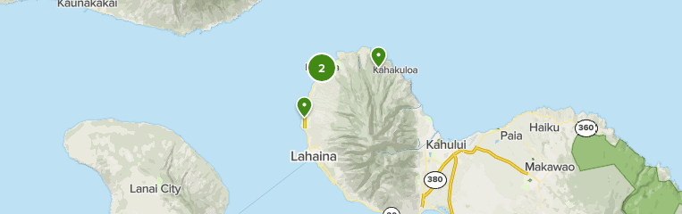 Best Bird Watching Trails in Lahaina | AllTrails