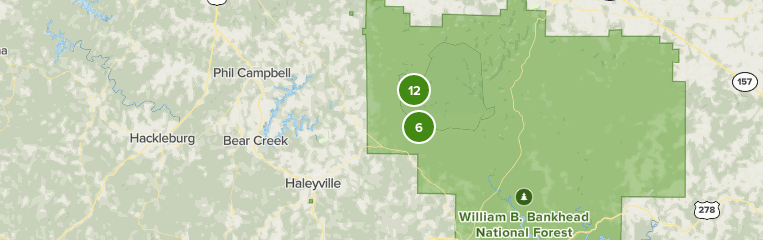 Map Of Haleyville Alabama Best 10 Forest Trails In Haleyville | Alltrails