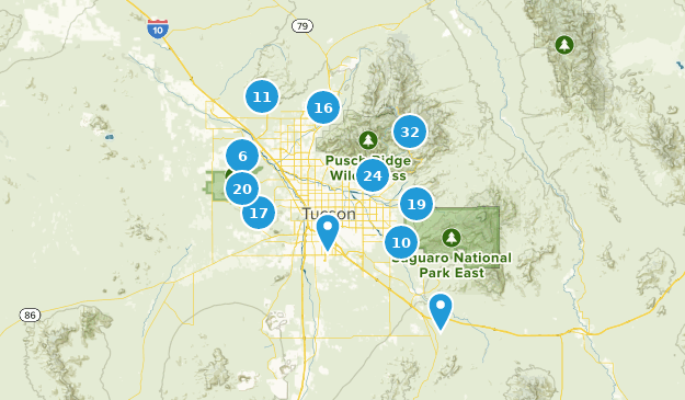 Best Bird Watching Trails near Tucson, Arizona | AllTrails