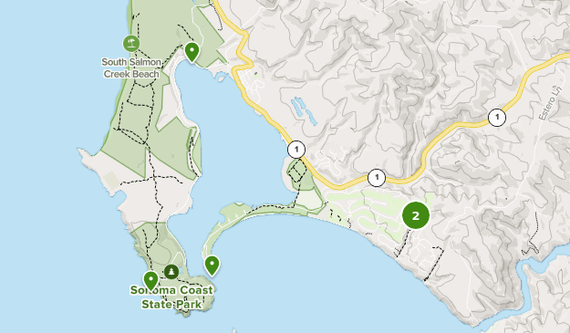 Best Bird Watching Trails near Bodega Bay, California | AllTrails