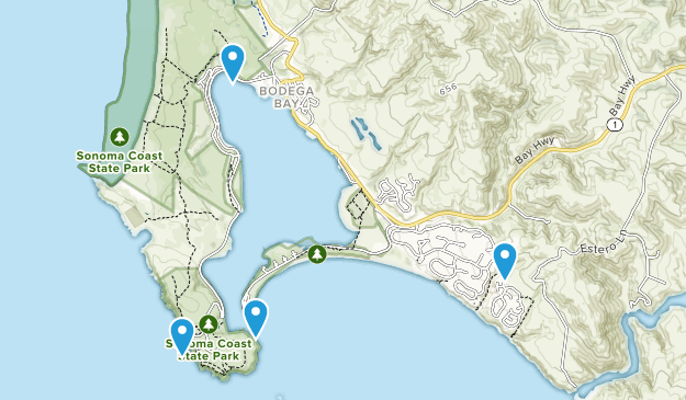 Best Hiking Trails near Bodega Bay, California | AllTrails