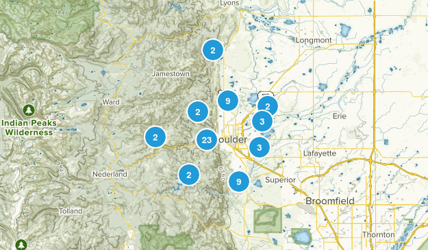 Most Dog Friendly Cities In Colorado Most Dog Friendly Cities In Colorado