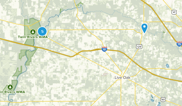 Best Kid Friendly Trails near Live - Us Florida Live Oak Kids 4610 20190607153452 625x365 1