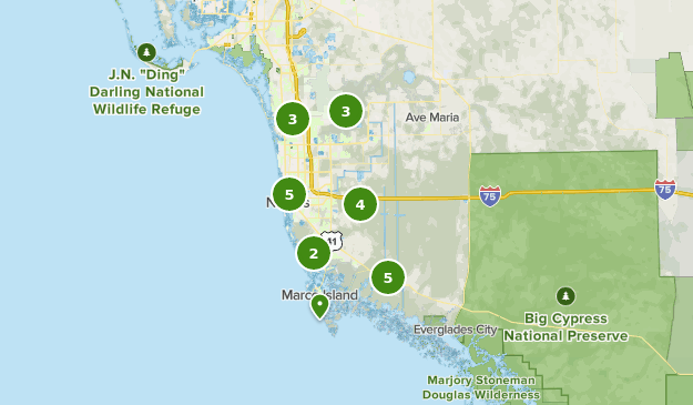 Best Bird Watching Trails Near Naples Florida Alltrails