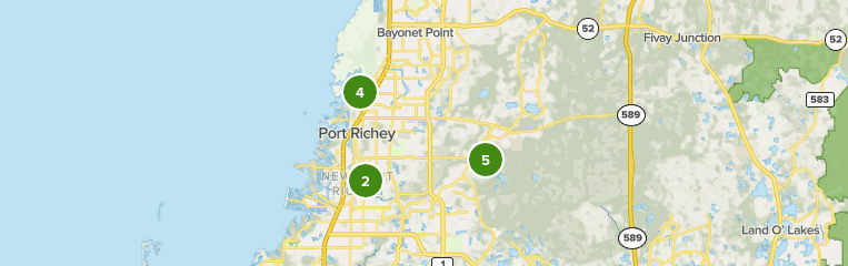 New Port Richey Fl Map Best Walking Trails In New Port Richey | Alltrails