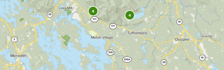 Best Forest Trails in Tuftonboro | AllTrails