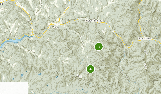 Best Forest Trails near Arkville, New York AllTrails