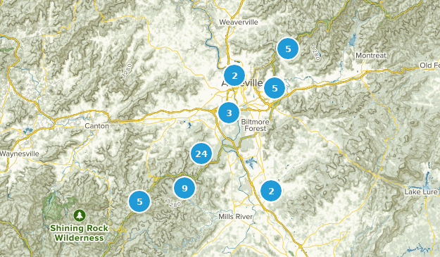 Best Hikes with Dogs North Carolina