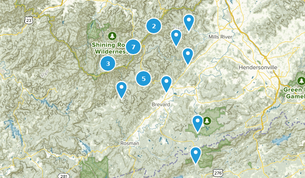 Best Hikes with Dogs North Carolina