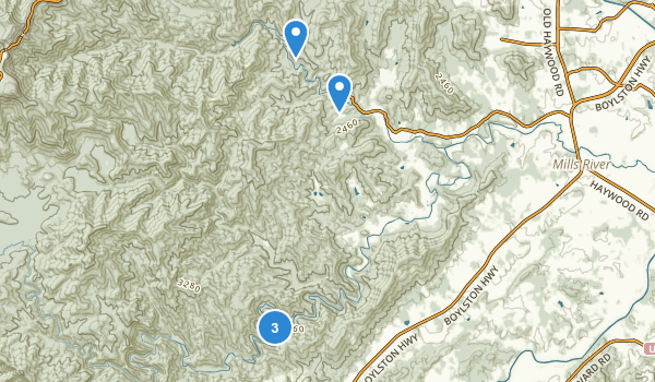 Best Hiking Trails near Mills River, North Carolina