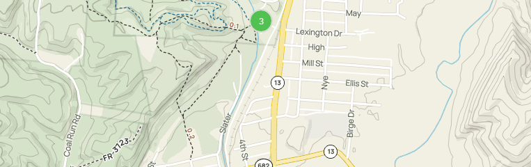 Best Forest Trails in Chauncey | AllTrails