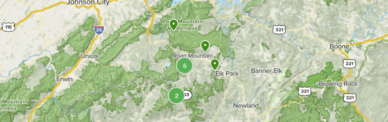 10 Best Walking Trails In Roan Mountain 